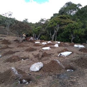 WhatsApp Image 2023-05-09 at 12.32.24 PM (1)