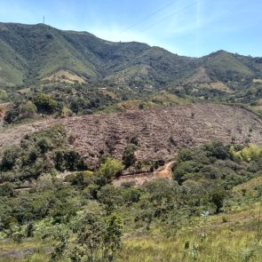 WhatsApp Image 2023-05-09 at 12.32.24 PM (2)