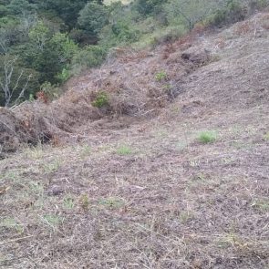 WhatsApp Image 2023-05-09 at 12.32.25 PM (3)