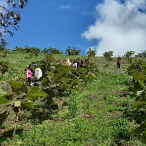 WhatsApp Image 2023-05-09 at 12.32.25 PM (4)