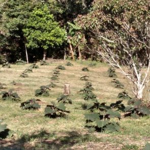 WhatsApp Image 2023-05-09 at 12.32.25 PM