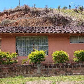 WhatsApp Image 2023-05-09 at 12.32.28 PM (3)