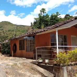 WhatsApp Image 2023-05-09 at 12.32.28 PM (4)